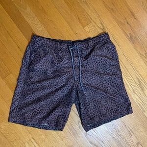 Hudson North Swim Trucks Large with Liner